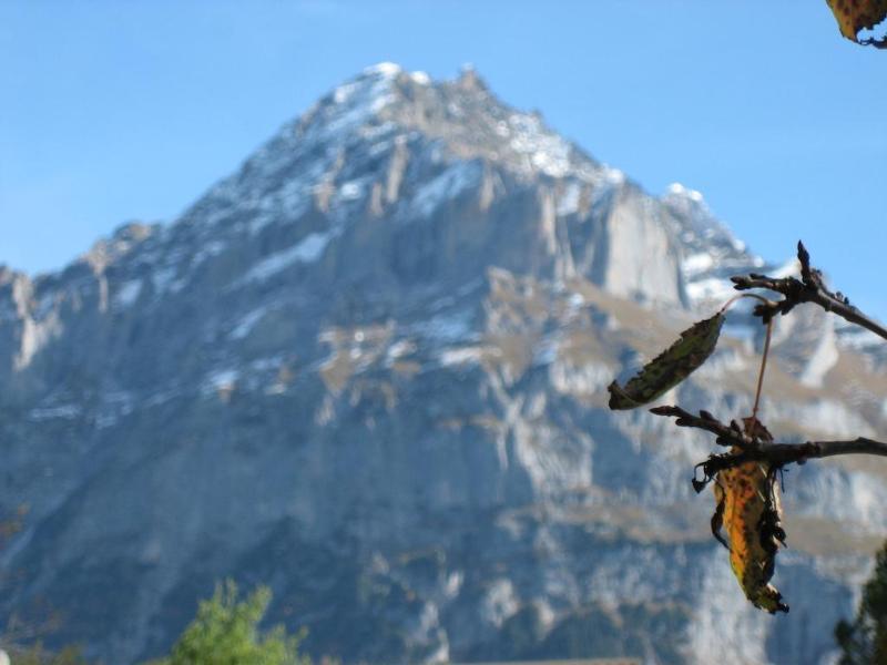 Hotel Gletschertal 그린델발트 외부 사진